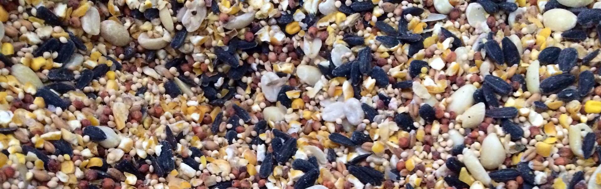 Bird Feed & Forage Mixes
